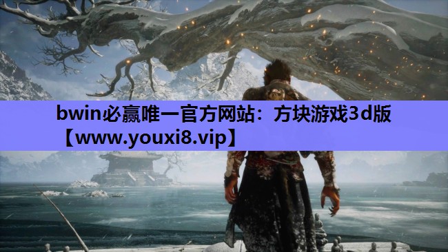 bwin必赢唯一官方网站：方块游戏3d版